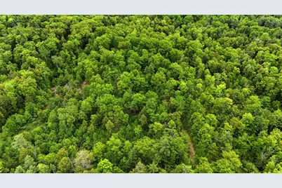 Lot  16C-1 Palmer Road, Buxton, ME 04093 - Photo 6