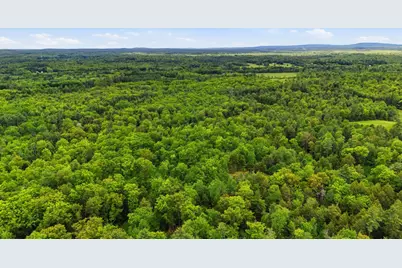 Lot  16C-1 Palmer Road, Buxton, ME 04093 - Photo 14