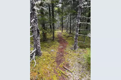 0 Jericho Bay Road, Swans Island, ME 04685 - Photo 8