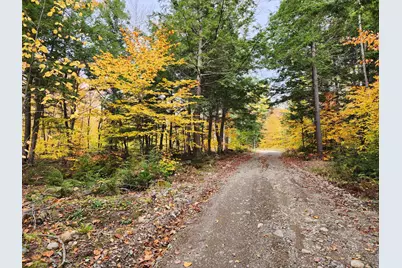 Off Willigar Road, Island Falls, ME 04747 - Photo 8