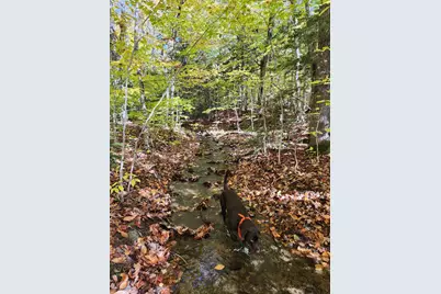 Off Willigar Road, Island Falls, ME 04747 - Photo 4