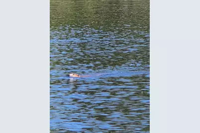 P 8 L 4 Prescott Pond Rd., Moxie Gore, ME 04985 - Photo 2