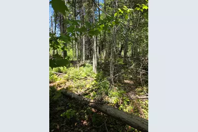 P 8 L 4 Prescott Pond Rd., Moxie Gore, ME 04985 - Photo 8