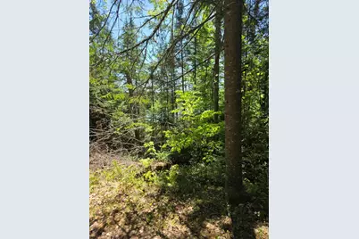 P 8 L 4 Prescott Pond Rd., Moxie Gore, ME 04985 - Photo 6