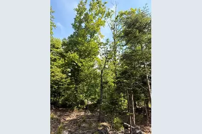 Lot #16 Sunset Cove Way, Orland, ME 04472 - Photo 2