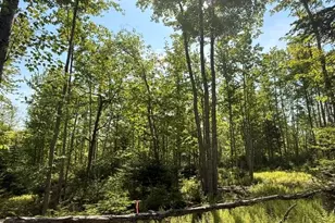 Lot #16 Sunset Cove Way, Orland, ME 04472 - Photo 1