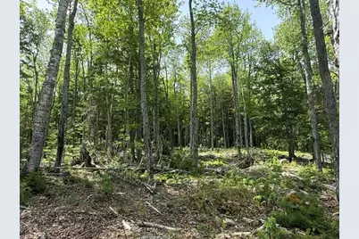Lot #17 Sunset Cove Way, Orland, ME 04472 - Photo 8