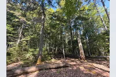 Lot #17 Sunset Cove Way, Orland, ME 04472 - Photo 1