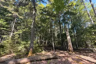 Lot #17 Sunset Cove Way, Orland, ME 04472 - Photo 1