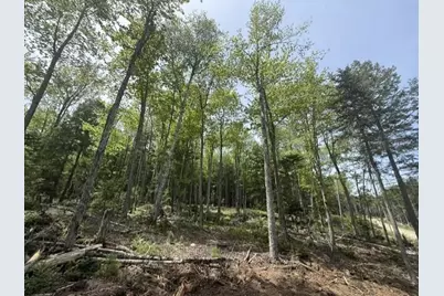 Lot #17 Sunset Cove Way, Orland, ME 04472 - Photo 6