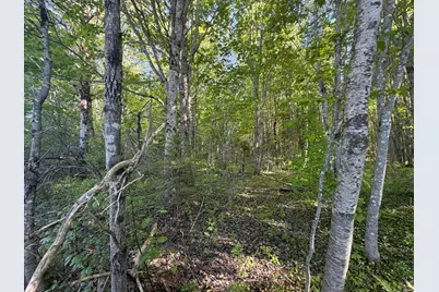Lot A,C,&d Vanceboro Road, Vanceboro, ME 04619 - Photo 6
