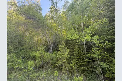Lot A,C,&d Vanceboro Road, Vanceboro, ME 04619 - Photo 2