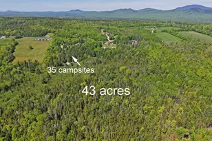 312 Moosehead Lake Rd, Greenville, ME 04441 - Photo 6