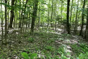 117 Brown Rd, Harmony, ME 04942 - Photo 20