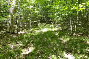 117 Brown Rd, Harmony, ME 04942 - Photo 22
