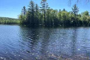117 Brown Rd, Harmony, ME 04942 - Photo 1