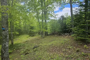 284 Frank Savage Rd, Bingham, ME 04920 - Photo 6