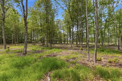 0 Buzzell Road, Acton, ME 04001 - Photo 12