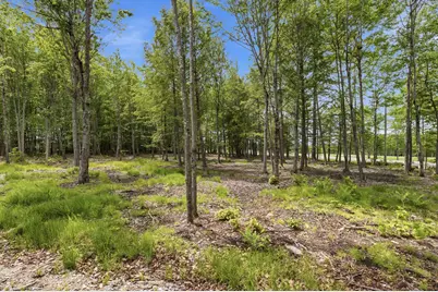 0 Buzzell Road, Acton, ME 04001 - Photo 10