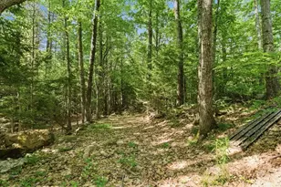 123 Dutton Hill, Gray, ME 04039 - Photo 16
