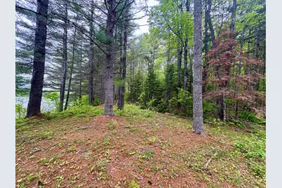Map03Lot01 White Birch Lane, Passadumkeag, ME 04475 - Photo 46