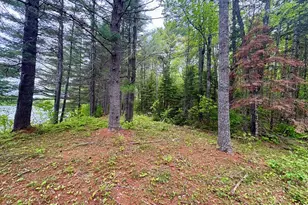 Map03Lot01 White Birch Ln, Passadumkeag, ME 04475 - Photo 46