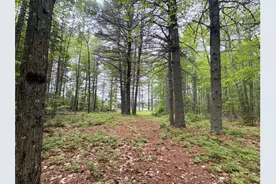 Map03Lot01 White Birch Lane, Passadumkeag, ME 04475 - Photo 42