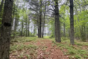 Map03Lot01 White Birch Ln, Passadumkeag, ME 04475 - Photo 42