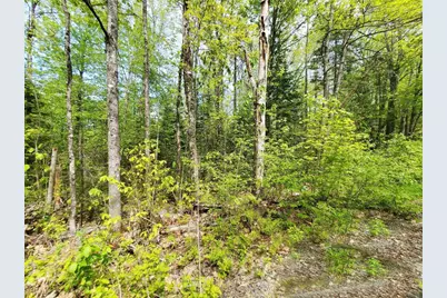 Lot 3 Maple Road, Atkinson, ME 04426 - Photo 22