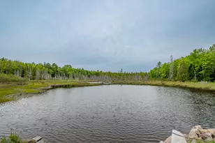 M5 L28 Cemetery Rd, Guilford, ME 04443 - Photo 42