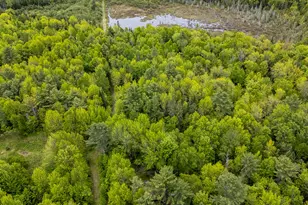 M5 L28 Cemetery Rd, Guilford, ME 04443 - Photo 54