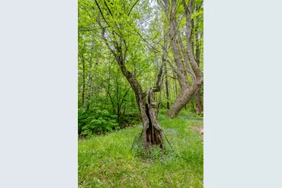 M5 L28 Cemetery Road, Guilford, ME 04443 - Photo 30