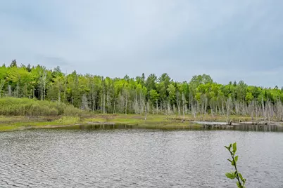 M5 L28 Cemetery Road, Guilford, ME 04443 - Photo 40