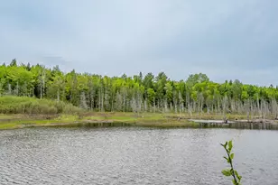 M5 L28 Cemetery Rd, Guilford, ME 04443 - Photo 40