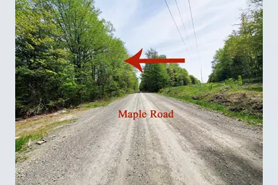 Lot 5 Maple Road, Atkinson, ME 04426 - Photo 14