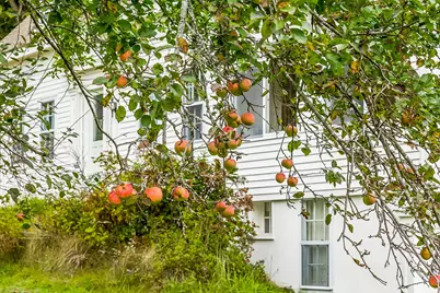 45 Bradley Road, Westport, ME 04578 - Photo 96