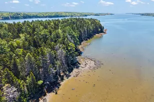 45 Bradley Rd, Westport, ME 04578 - Photo 60