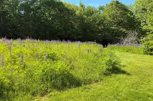 707 Newbury Neck Road Rd, Surry, ME 04684 - Photo 36