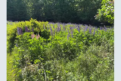 707 Newbury Neck Road Road, Surry, ME 04684 - Photo 38