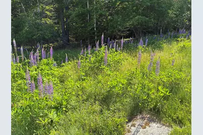 707 Newbury Neck Road Road, Surry, ME 04684 - Photo 32