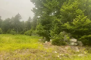 Lot 3A Allen Mountain Trail, Denmark, ME 04022 - Photo 1