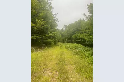 Lot 3A Allen Mountain Trail, Denmark, ME 04022 - Photo 10