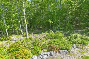 544 Whitefield Rd, Pittston, ME 04345 - Photo 84