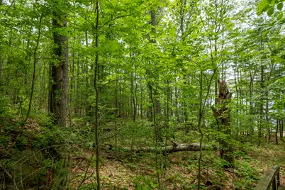 21-A Map 12, Lot21-A Bristol Road, Bristol, ME 04539 - Photo 6