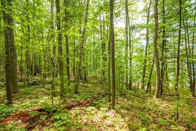 21-A Map 12, Lot21-A Bristol Road, Bristol, ME 04539 - Photo 8