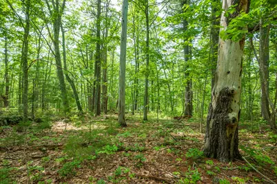 21-A Map 12, Lot21-A Bristol Road, Bristol, ME 04539 - Photo 24