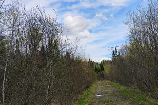 [Address not provided], Silver Ridge Twp, ME 04776 - Photo 28