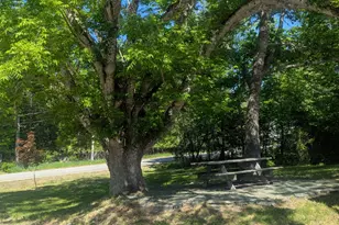 537 Millvale Rd, Bucksport, ME 04416 - Photo 42