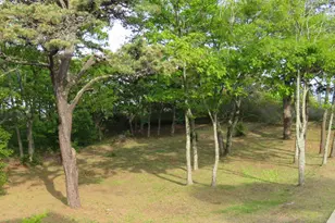 823 Popham Rd, Phippsburg, ME 04562 - Photo 12