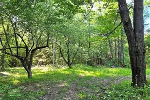 515 Dodlin Rd, Enfield, ME 04493 - Photo 62